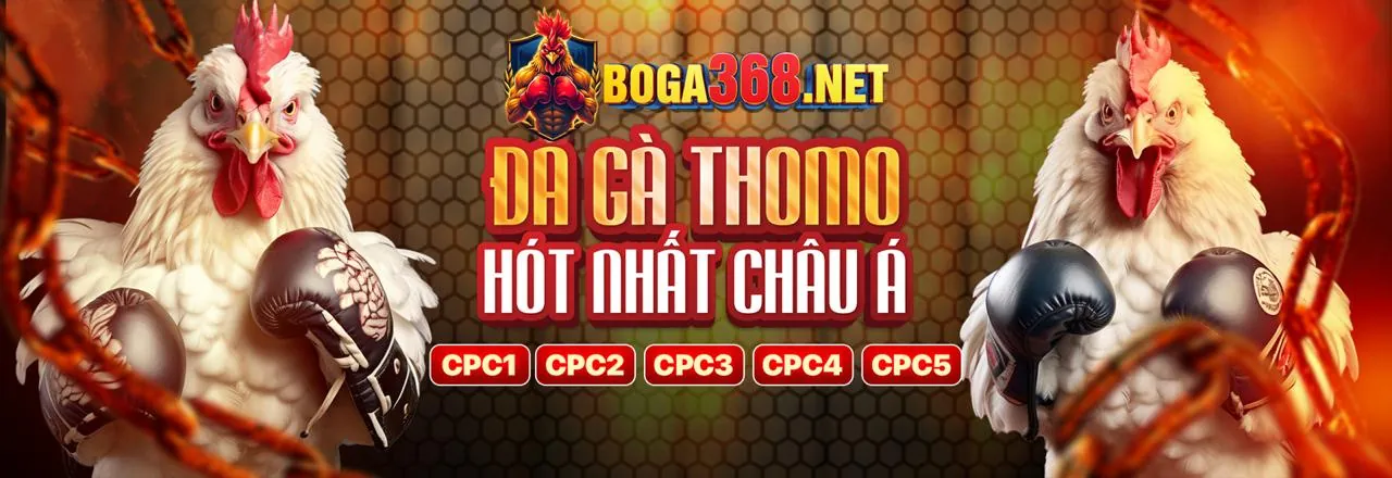 Sân đấu đá gà trực tuyến hi2999 chính thức